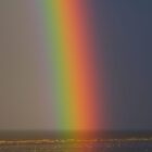 2 - Lily Knol - De regenboog