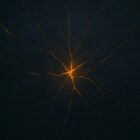 Ongebroken Samenvatting BG